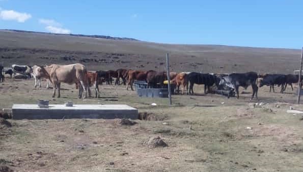 KUPHANTSE KWABETHWANA NGABAFUYI KUFANISO LWEMFUYO ESKITI EMATATIELE