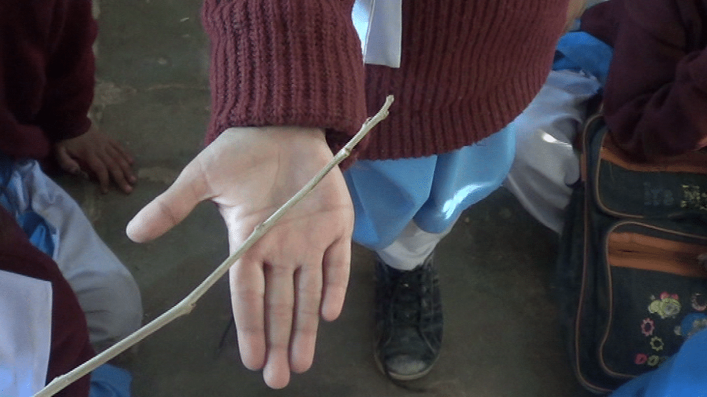 KwaBhaca principal under investigation for beating learners with a hosepipe