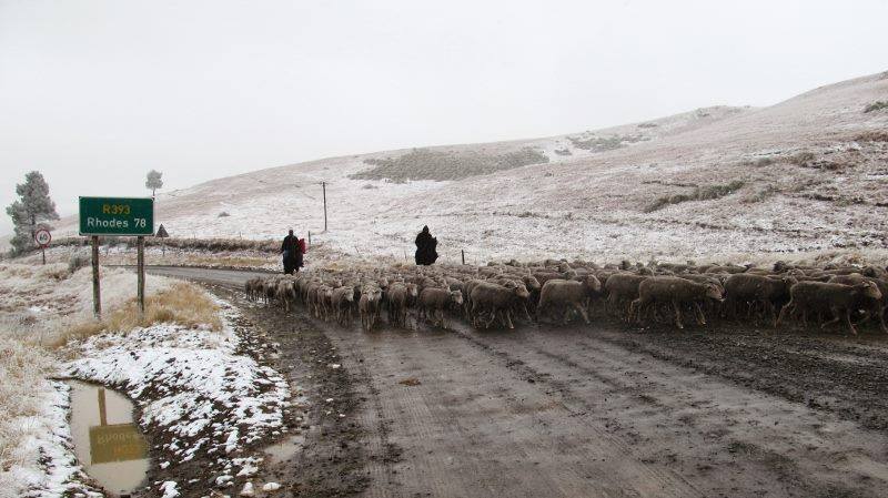 Disruptive snowfall anticipated in Eastern Cape
