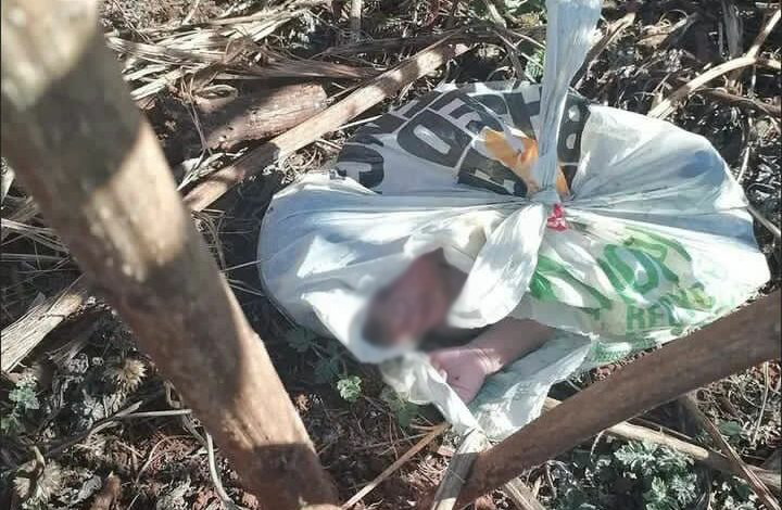 Newborn baby found dumped in a sports field wrapped in plastic