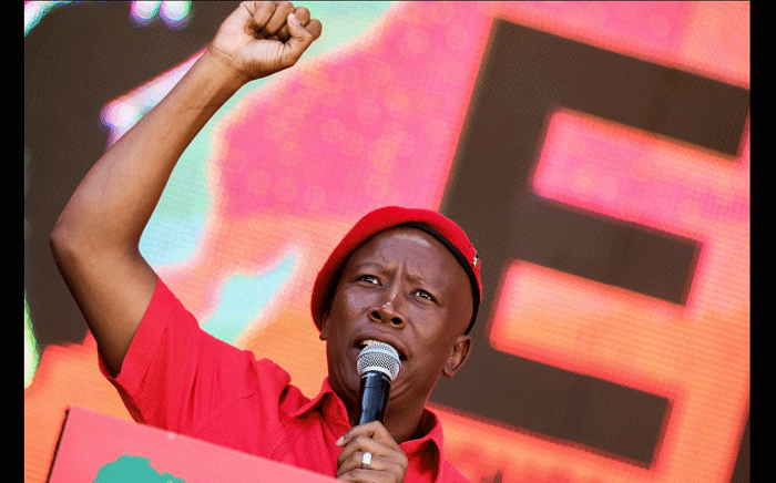 EFF condemns Ngizwe Mchunu over Malema remarks in KZN