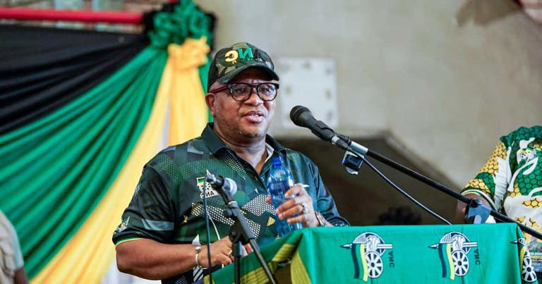 ANC SG Fikile Mbalula welcomes 50 expelled EFF members
