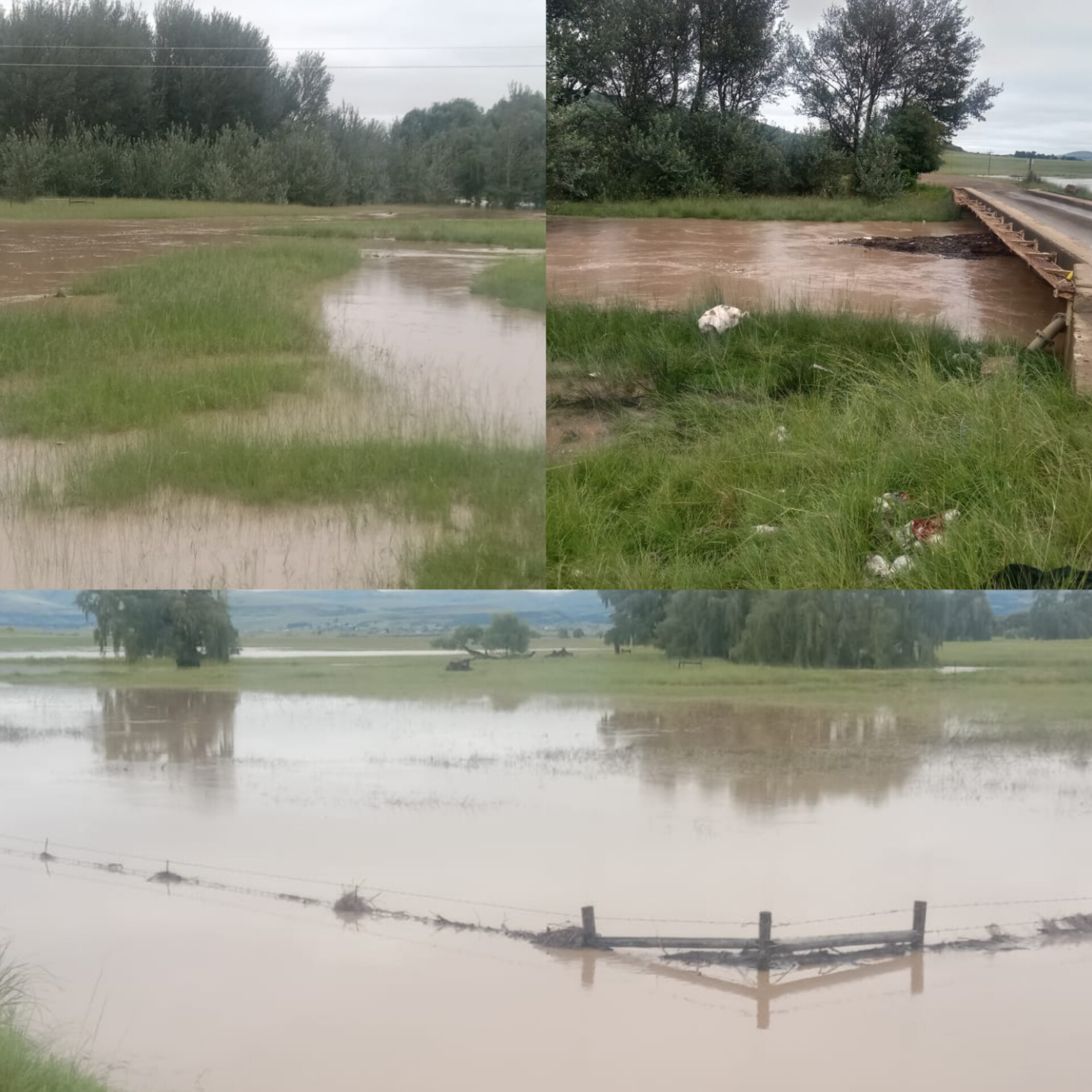 Matatiele hit by tragedy as two women drown in Umzimvubu river