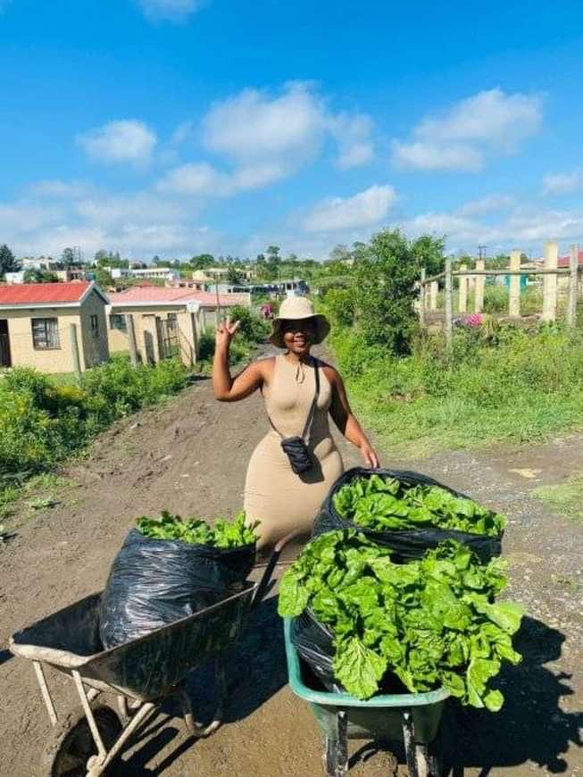 From Civil Servant to successful farmer: Abongile Yetse Sidzumo’s inspiring journey