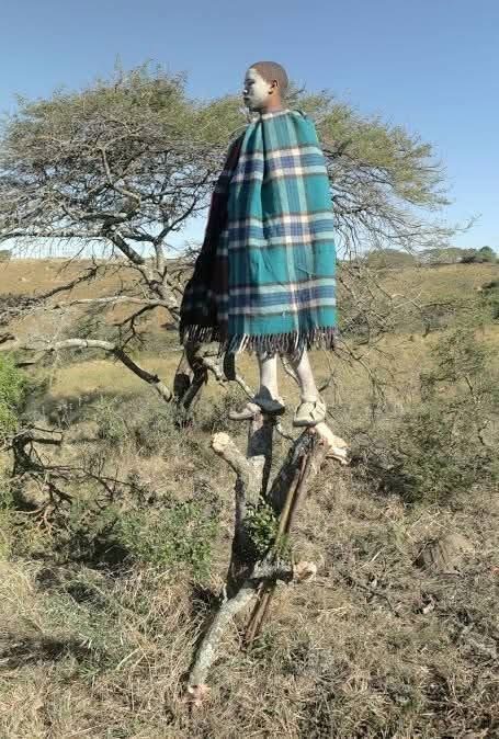 Man who dropped out of primary school also drops out of Initiation School, says “ Education has been designed to oppress us”