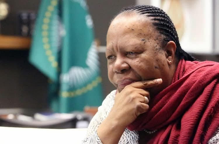 Naledi Pandor questions sudden revocation of her US Visa