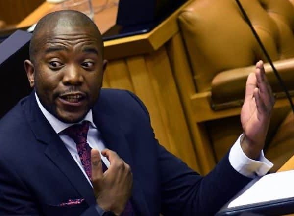 Maimane describes NSC results as “misleading and ineffectual”