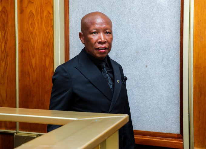 Social worker pleads leniency on Malema as he is a first-time offender