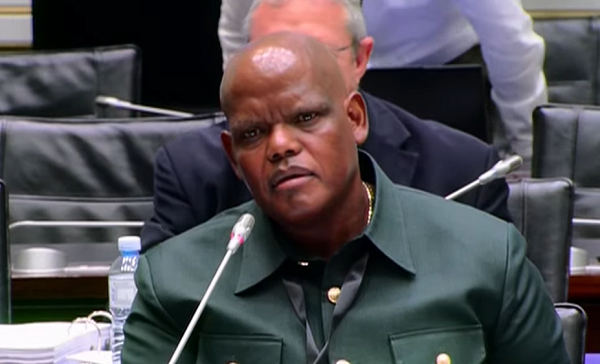 SAPS political interference started at ANC’s 2007 conference, Phahlane reveals