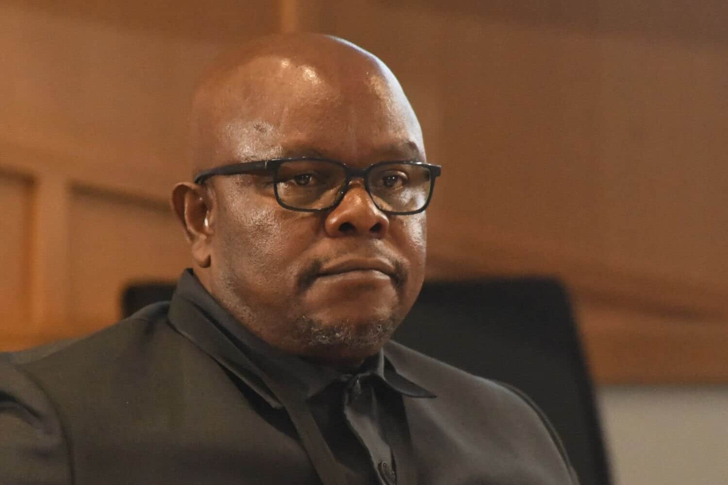 Madlanga commission Lesetja Senona Cat Matlala