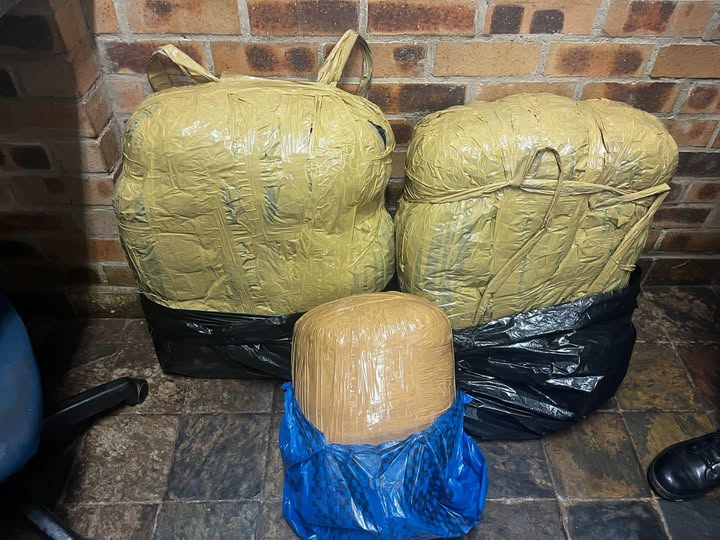 Foreign national arrested with dagga worth over R240 000 in Mpumalanga