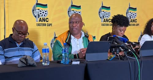 ANC disbands Eastern Cape PEC amid conference collapse