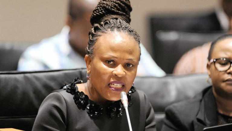 Busisiwe Mkhwebane Foundation calls for criminal probe into Durban mmigration operation