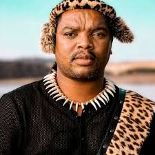 Ngizwe Mchunu denies claims he set his own house alight for publicity