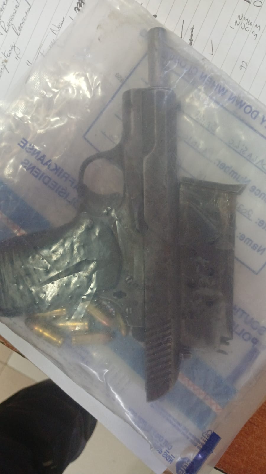 Suspect to appear in court after illegal firearm and ammunition bust in Dalasile