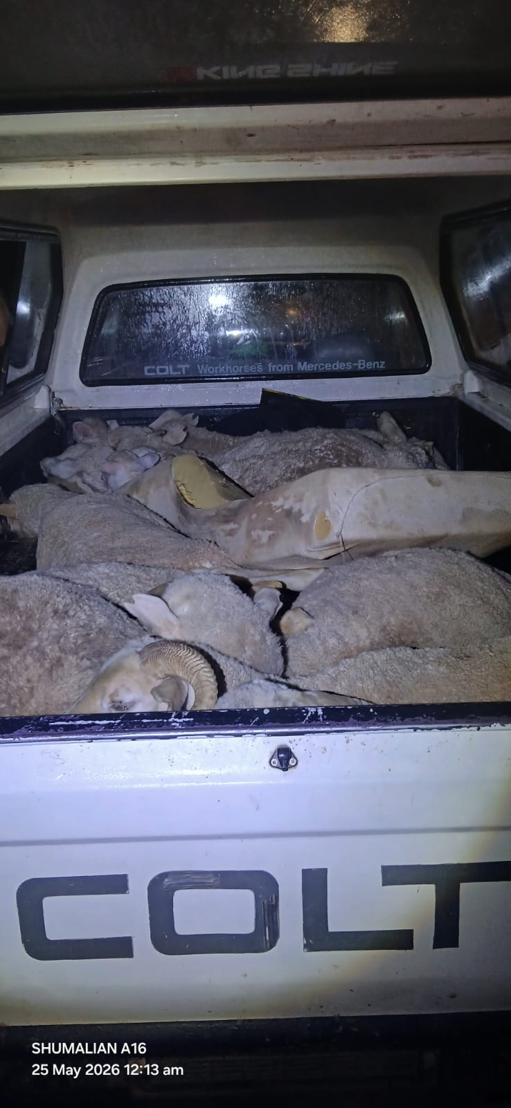 Ten people arrested for livestock theft in Aberdeen