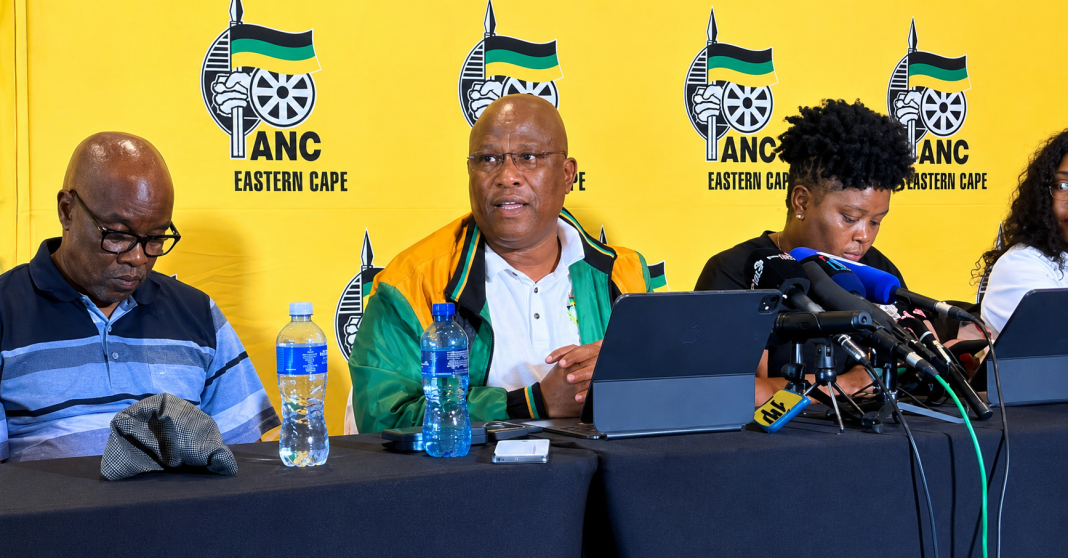 ANC Eastern Cape provincial task team declared unlawful by court