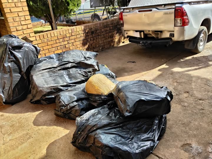Limpopo police seize dagga worth over R500,000