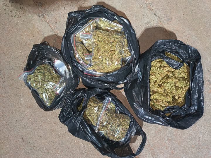 Two foreign nationals arrested after police seize dagga worth over R55,000