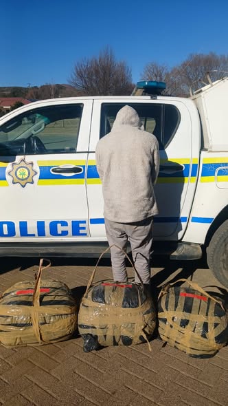 Four arrested as SAPS seizes dagga worth R175,000