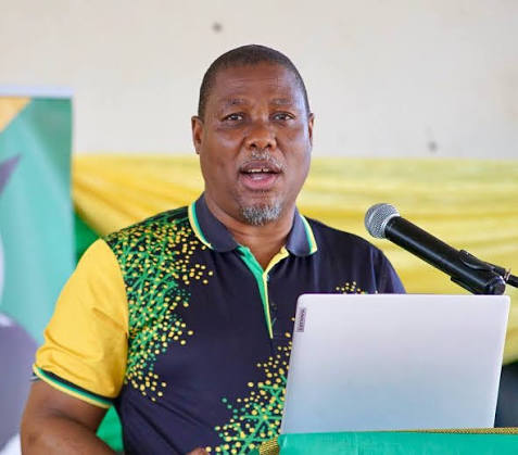 Mtolo defends ANC protest march, says social mobilisation is a duty