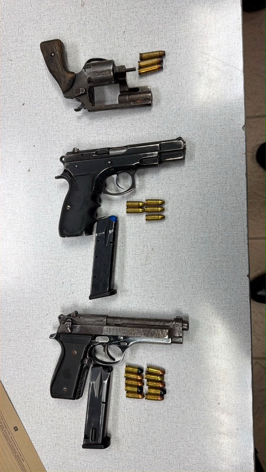 Woman arrested with three illegal firearms in Eastern Cape