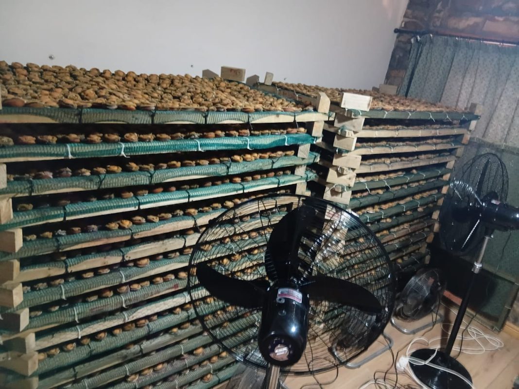 Three foreign nationals arrested in millions-rand abalone bust
