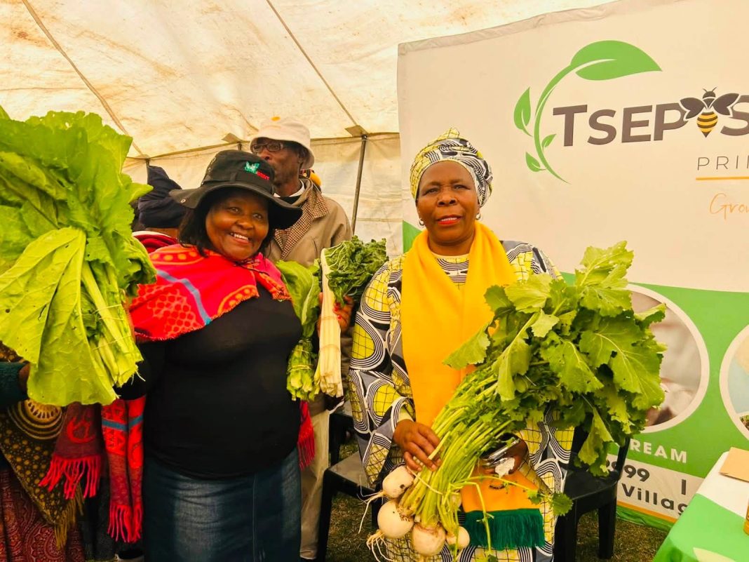 Alfred Nzo farmers showcase agricultural excellence at annual show