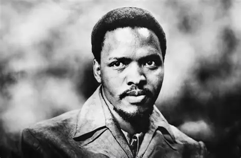 Biko inquest put on hold after family approaches High Court