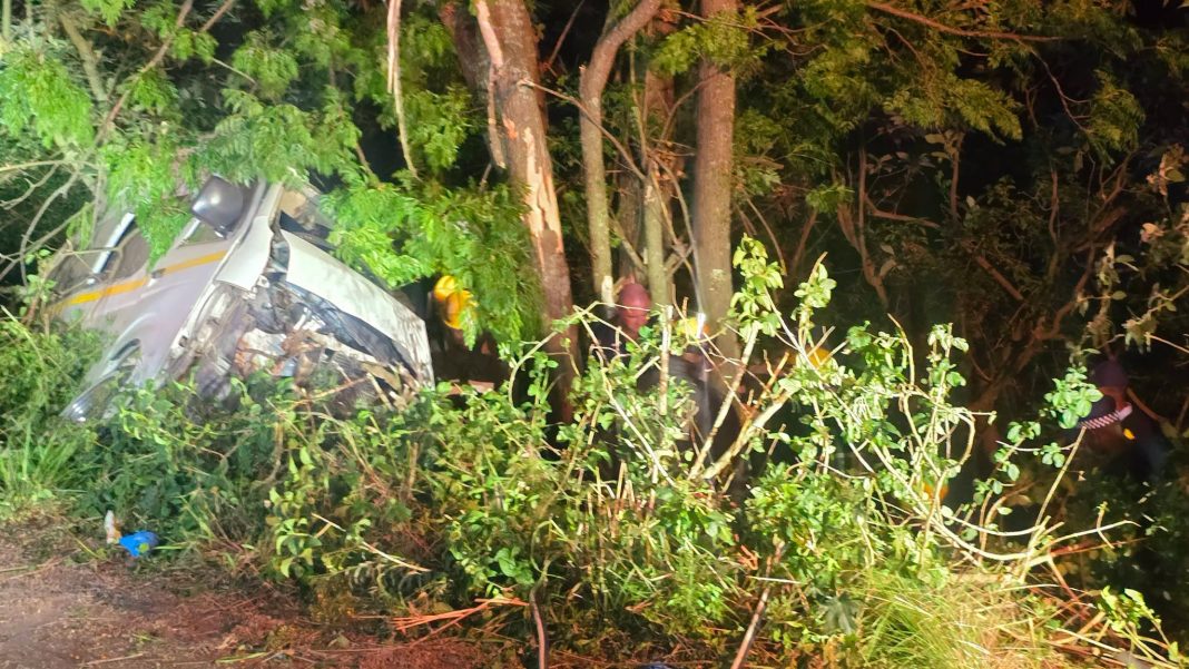 Ten men killed after taxi slams into tree in Cato Ridge