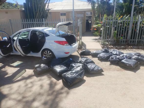 Police seize R720 000 worth of dagga, drugs and ammunition