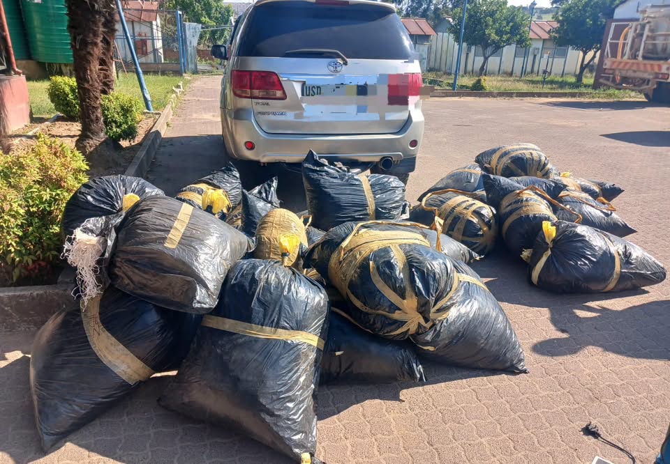 Police seize R1.9 million worth of dagga in Mpumalanga