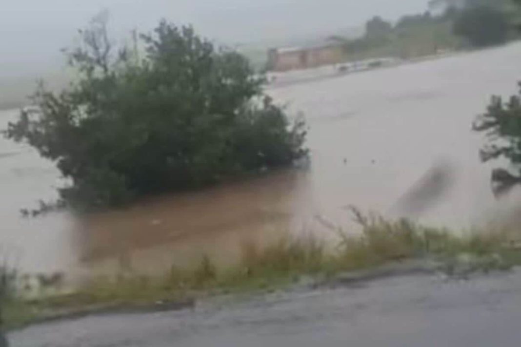 Four boys rescued in desperate operation as floodwaters rise in Mqanduli