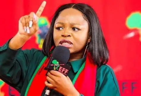 EFF MP Naledi Chirwa to Appear in Court Following Alleged Assault Incident