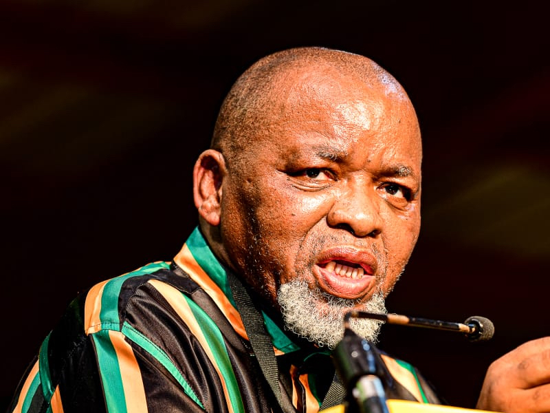 ANC Women’s League calls for Mantashe to apologise over remarks to Journalist